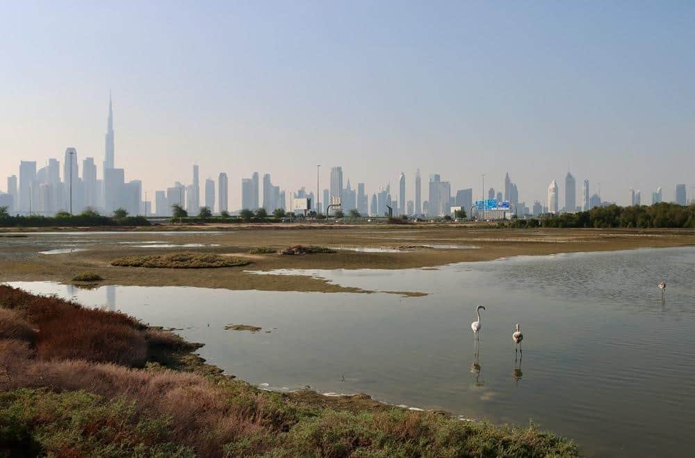 Can foreigners buy land plots in Dubai?