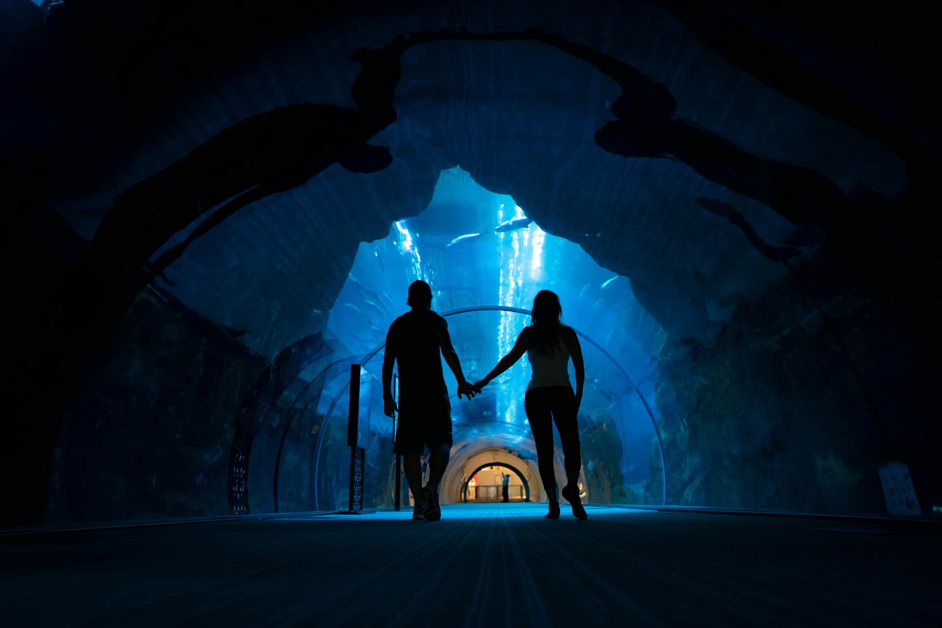 Dubai honeymoon short stay with betterhomes.