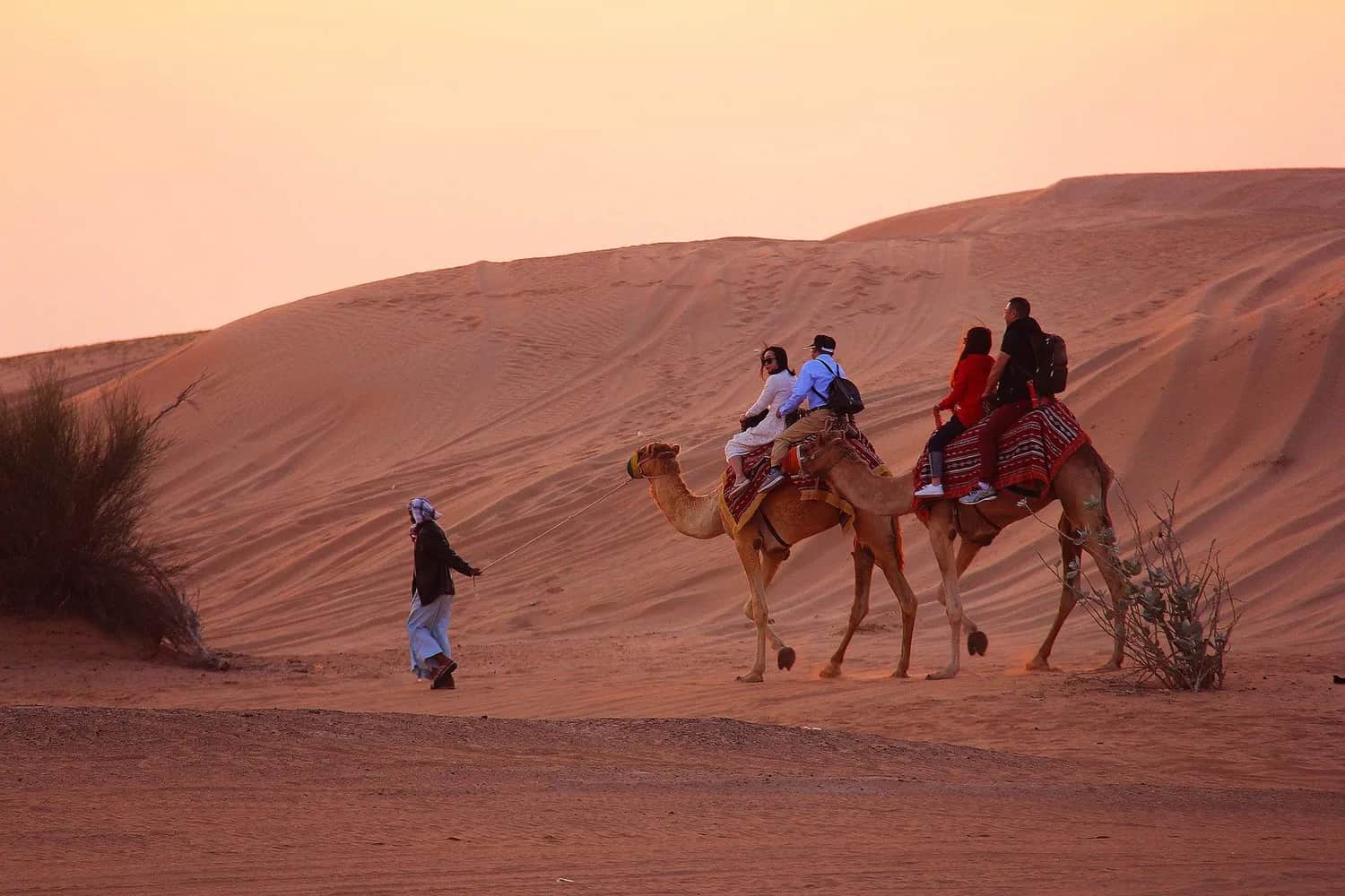 How to make the most of living in the desert