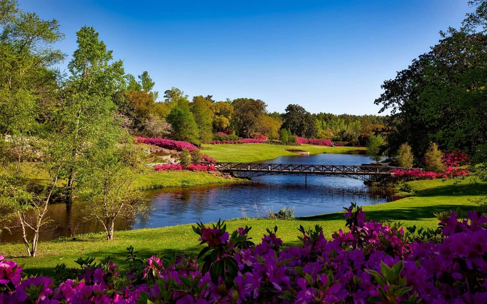 Top 5 new parks to explore in Dubai