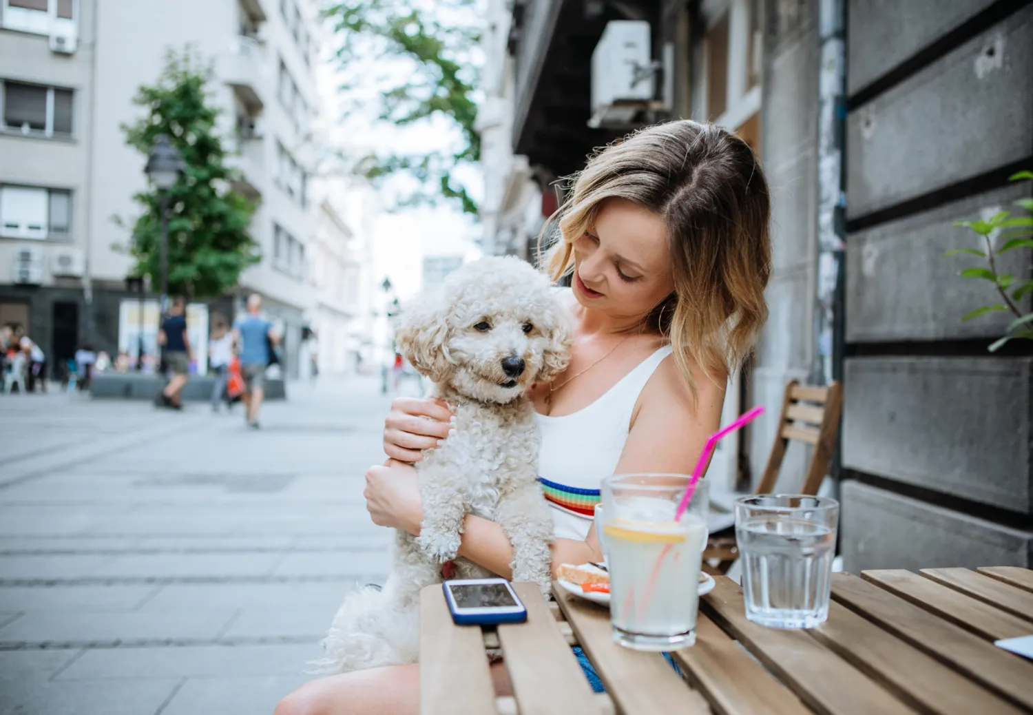Top 10 pet-friendly communities in Dubai