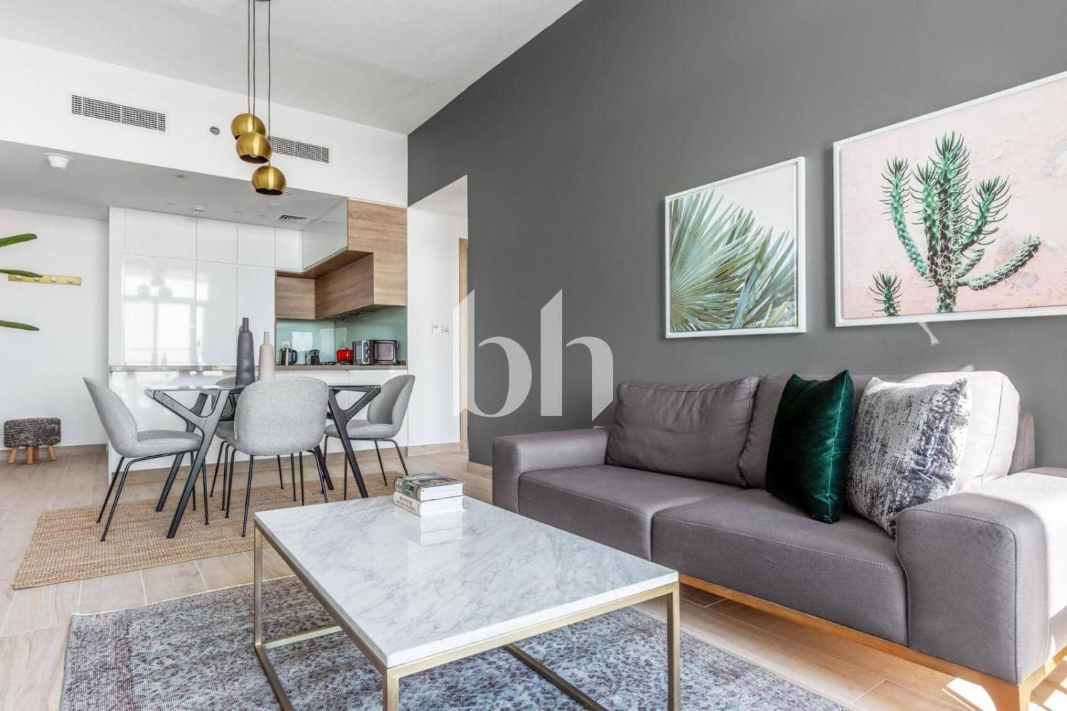 1 Bedroom Apartment in Studio One