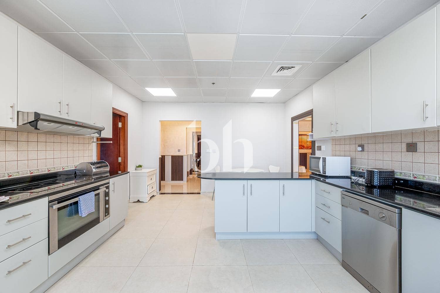 4 Bedroom Penthouse in Elite Residence - photo 2