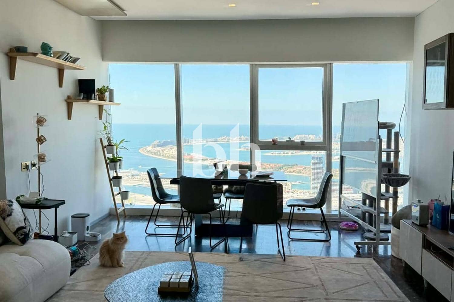 2 Bedroom Apartment in Damac Heights