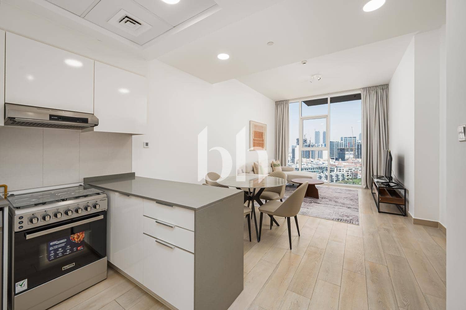 1 Bedroom Apartment in Bloom Towers B