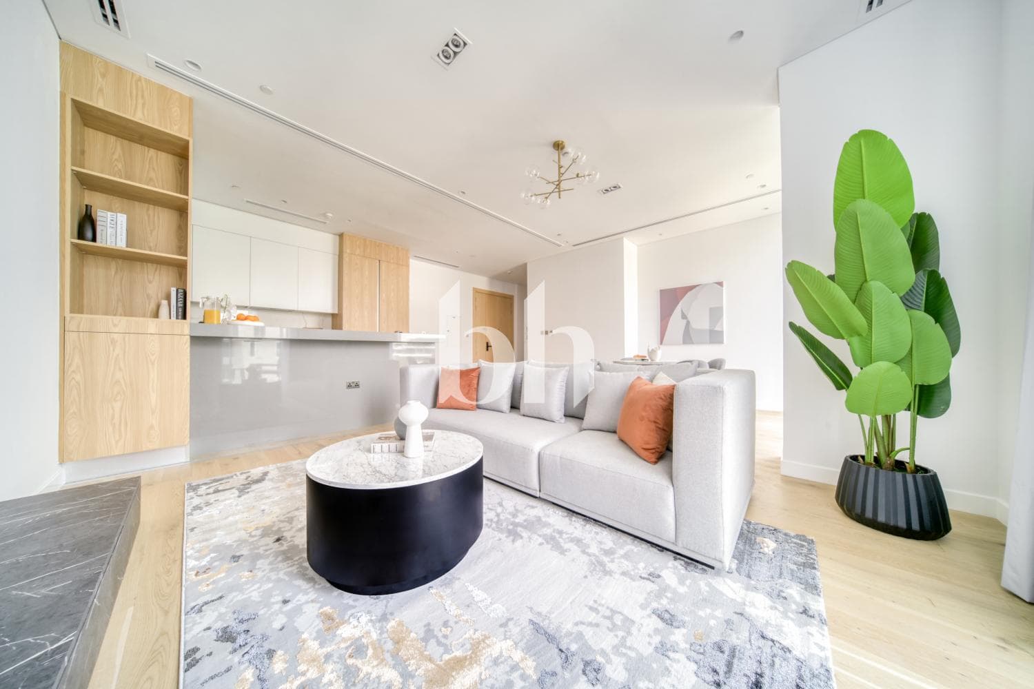 1 Bedroom Apartment in C1