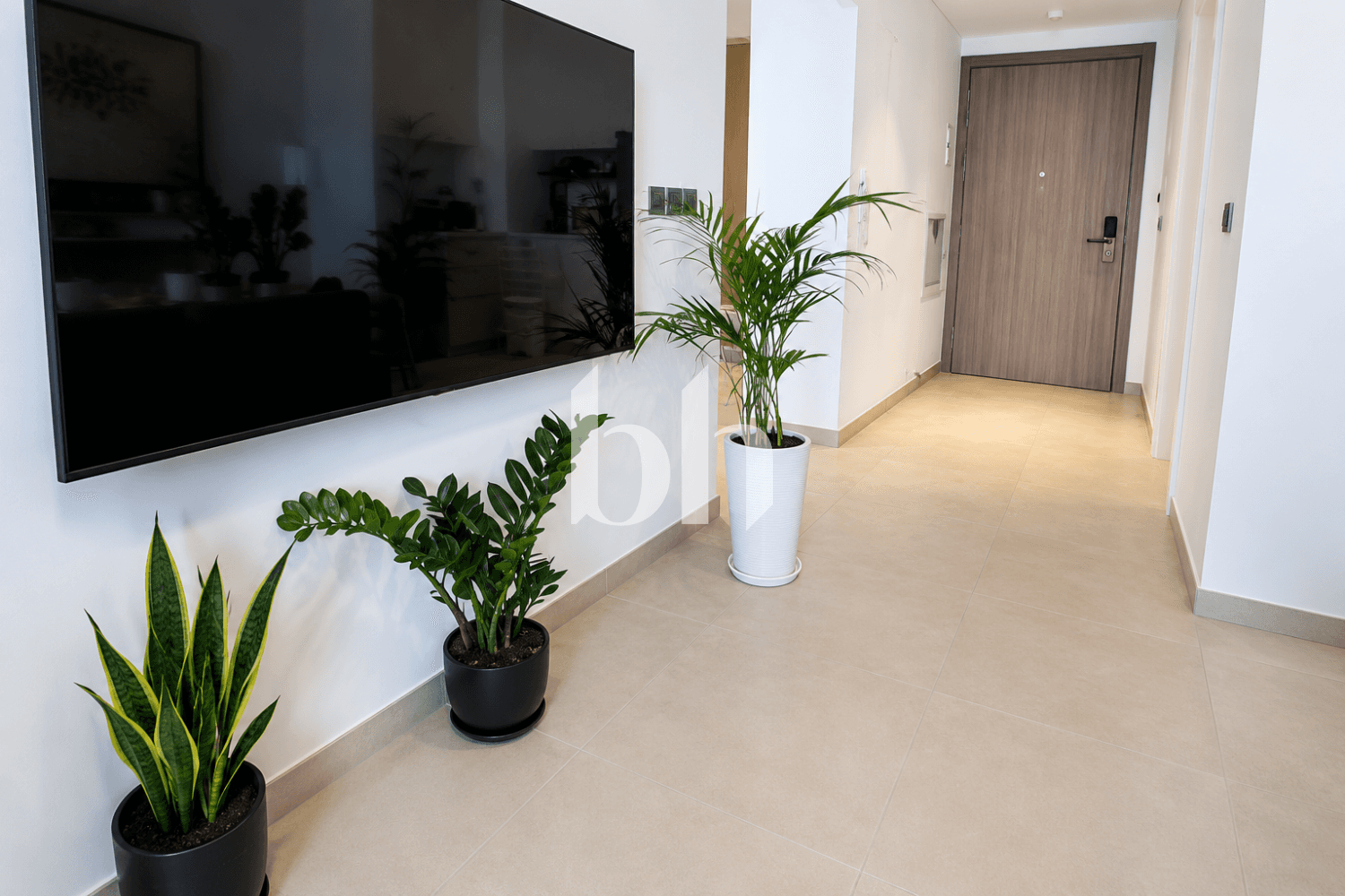 2 Bedroom Apartment in MISK Apartments - photo 2
