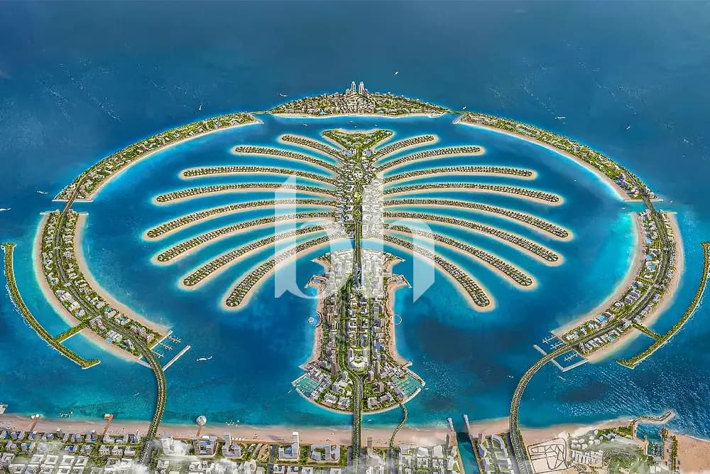 Land in Palm Jebel Ali- Frond P - photo 2