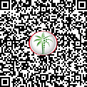 DLD verification QR code
