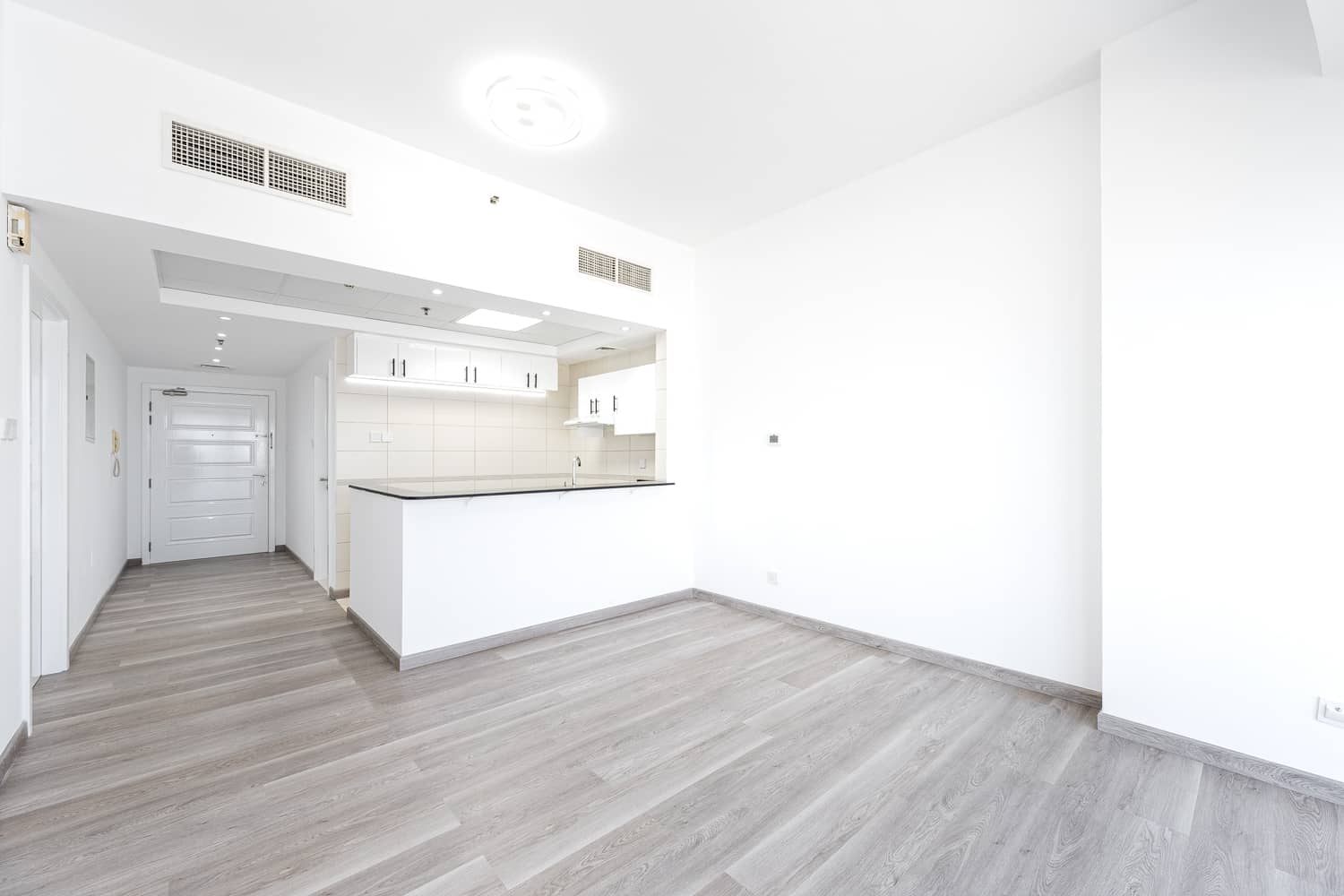 1 Bedroom Apartment in Concorde Tower