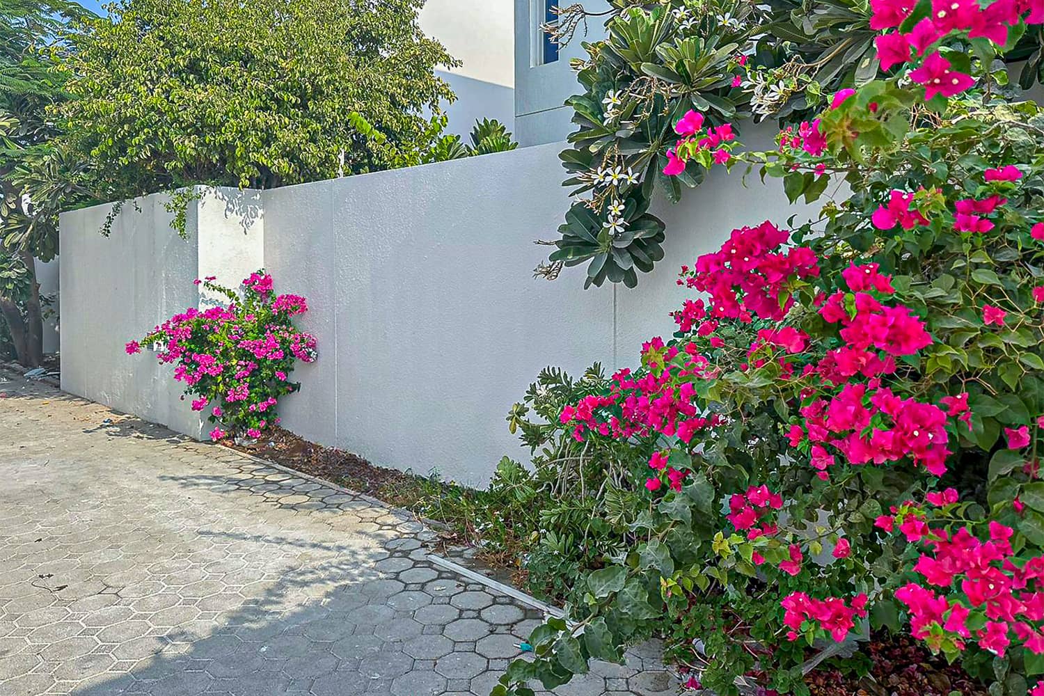 5 Bedroom Villa in Jumeirah 1 Villas - photo 2